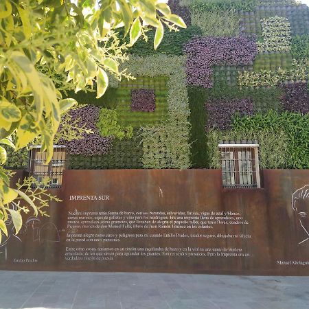 Acogedor Y Moderno Estudio En Capuchinos مالقة المظهر الخارجي الصورة